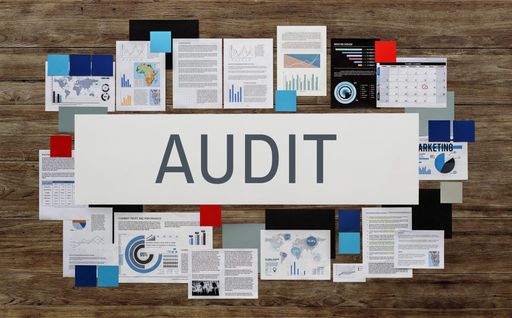 audit professionnel